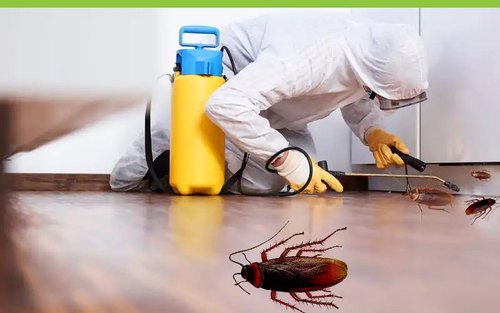 cockroaches-pest-control-services-500x500-1.jpg