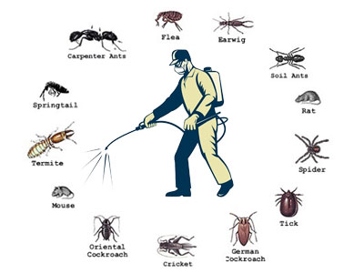 how-it-work-pest-control-image.jpg